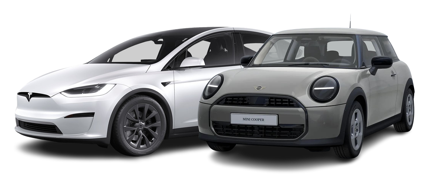 Foto de los modelos tesla-mini
